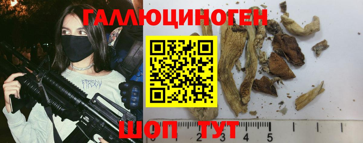 Галлюциногенные грибы Magic Shrooms Долгопрудный