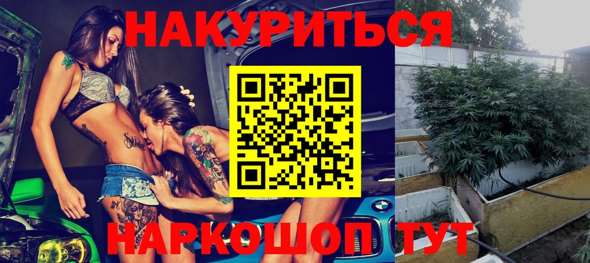 Бошки марихуана Bruce Banner Долгопрудный